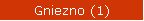 Gniezno (1)