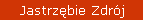 Jastrzębie Zdrój