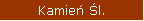 Kamień Śl.