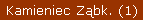 Kamieniec Ząbkowicki