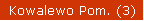 Kowalewo Pom. (3)