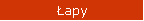 Łapy