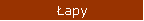 Łapy