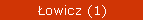 Łowicz (1)