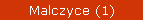 Malczyce (1)