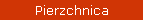 Pierzchnica
