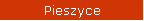 Pieszyce