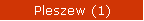 Pleszew (1)