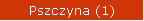 Pszczyna (1)