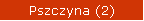 Pszczyna (2)