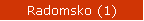 Radomsko (1)