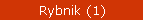 Rybnik (1)