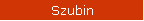 Szubin