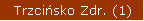Trzcińsko Zdr. (1)