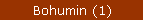 Bohumin (1)