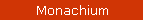 Monachium